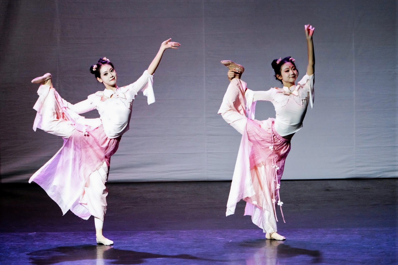 PPP00174 opq3016685067