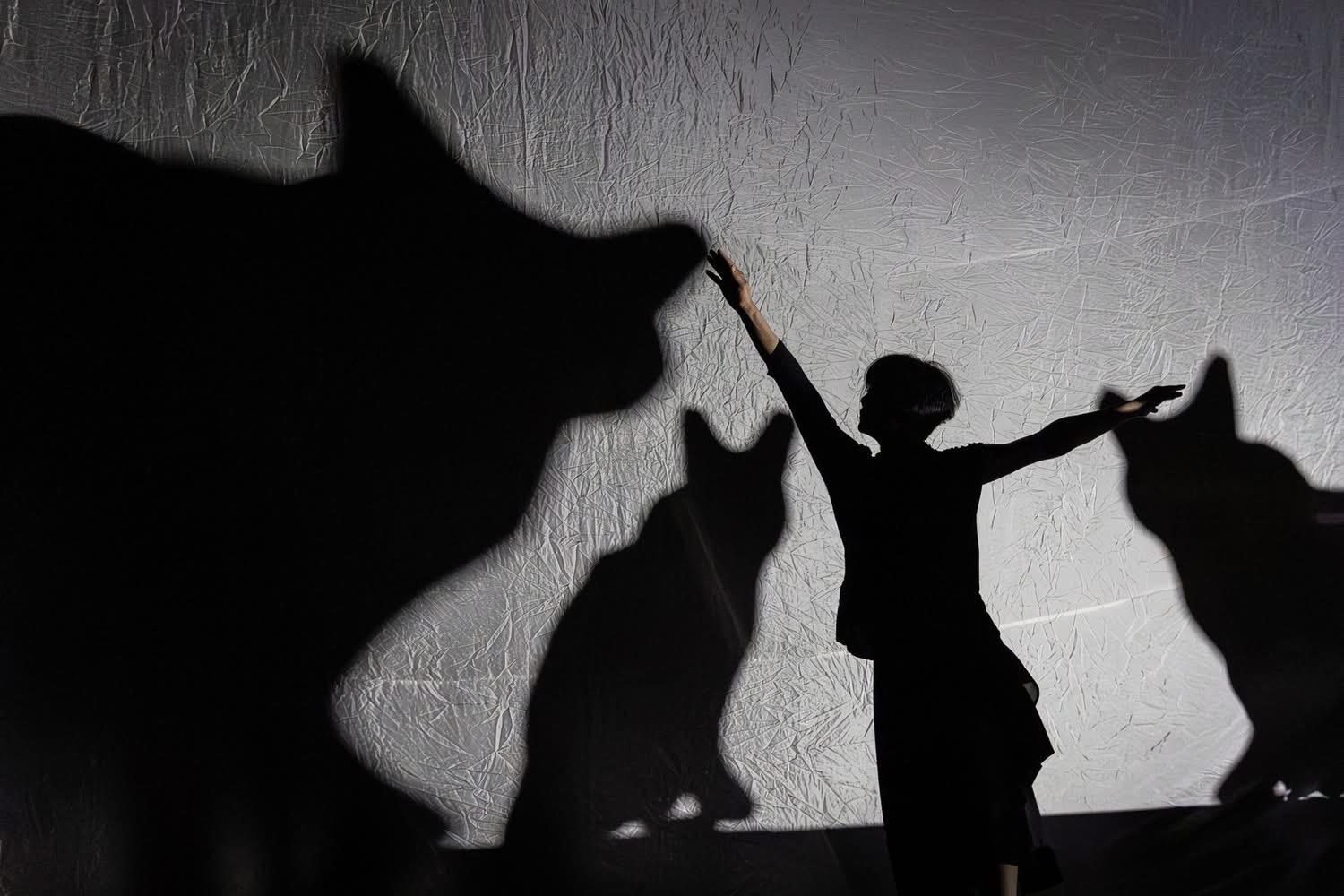 WhatsApp Image 2026 03 11 at 20.01.34 (1)