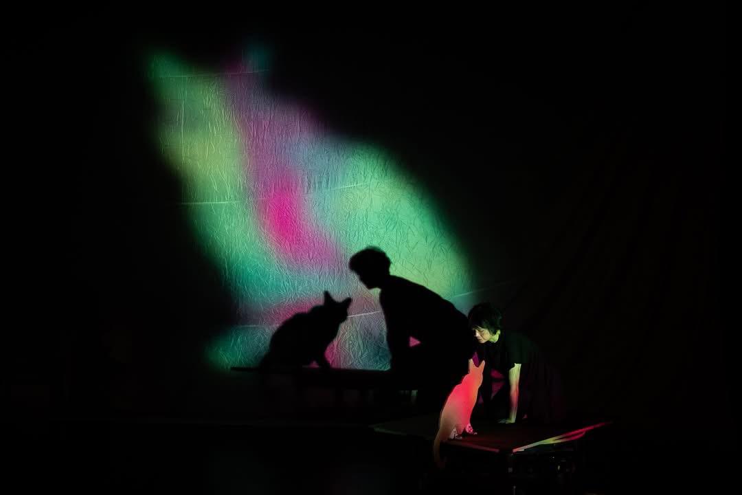 WhatsApp Image 2026 03 11 at 20.01.35